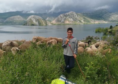 Foto España niño con ovejas