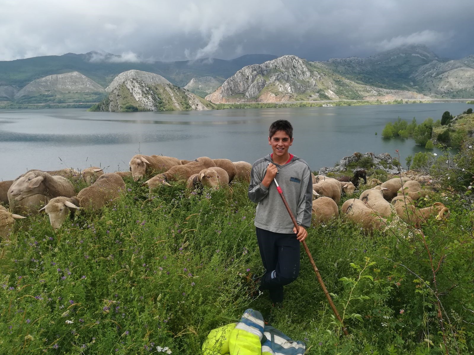 Foto España niño con ovejas