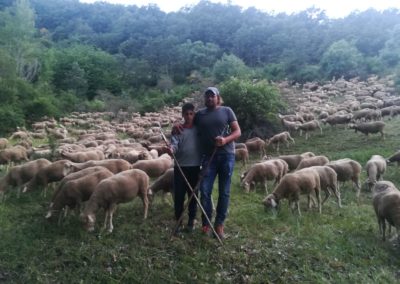 Foto españa familia con ovejas