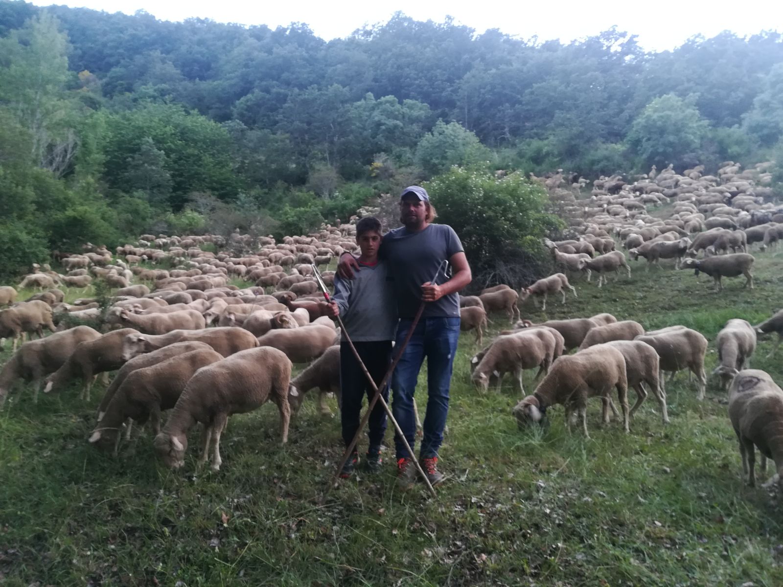 Foto españa familia con ovejas