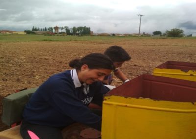 Foto España jovenes tractor